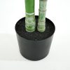 New Flamant Palmier De Betel, Plante