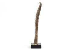 Best Flamant Lucarne, Deco, Corne