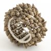 Online Flamant Kanare, Rond De Serviette, Coquillages