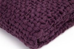Hot Flamant Einstein, Plaid, Violet