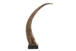 Best Flamant Lucarne, Deco, Corne