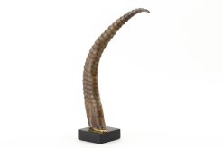Best Flamant Lucarne, Deco, Corne